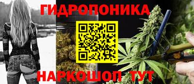 гашик Нягань