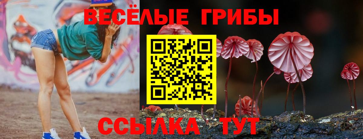 Глазов  купить наркотики сайты  Вход с VPN  Псилоцибиновые грибы мицелий 